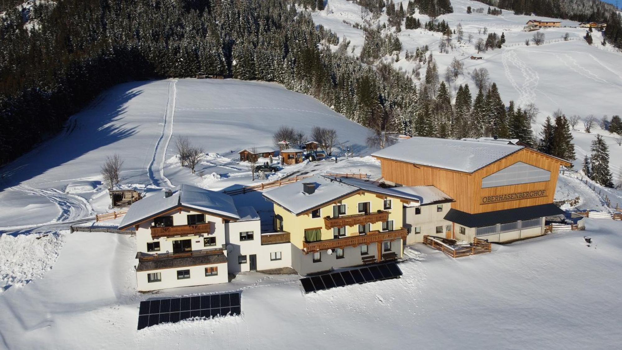 Chalet Oberhasenberghof