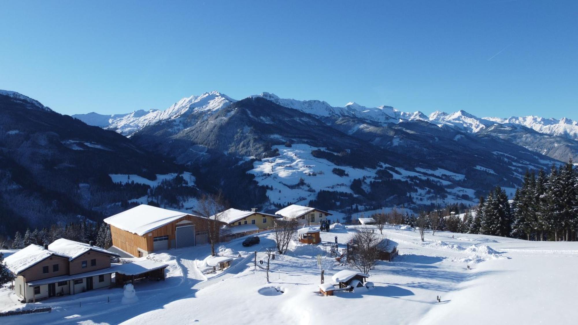 Oberhasenberghof Chalet *