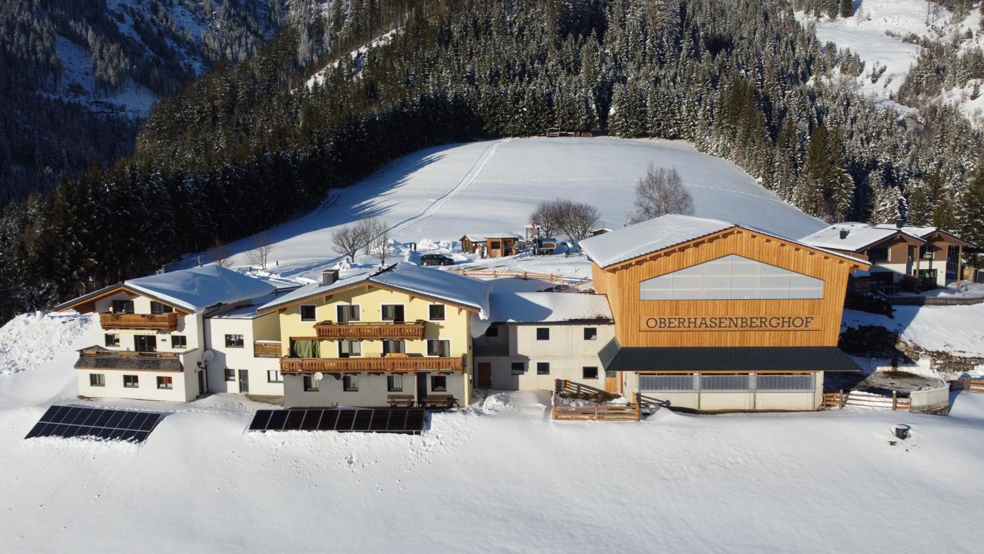 Oberhasenberghof Chalet Taxenbach