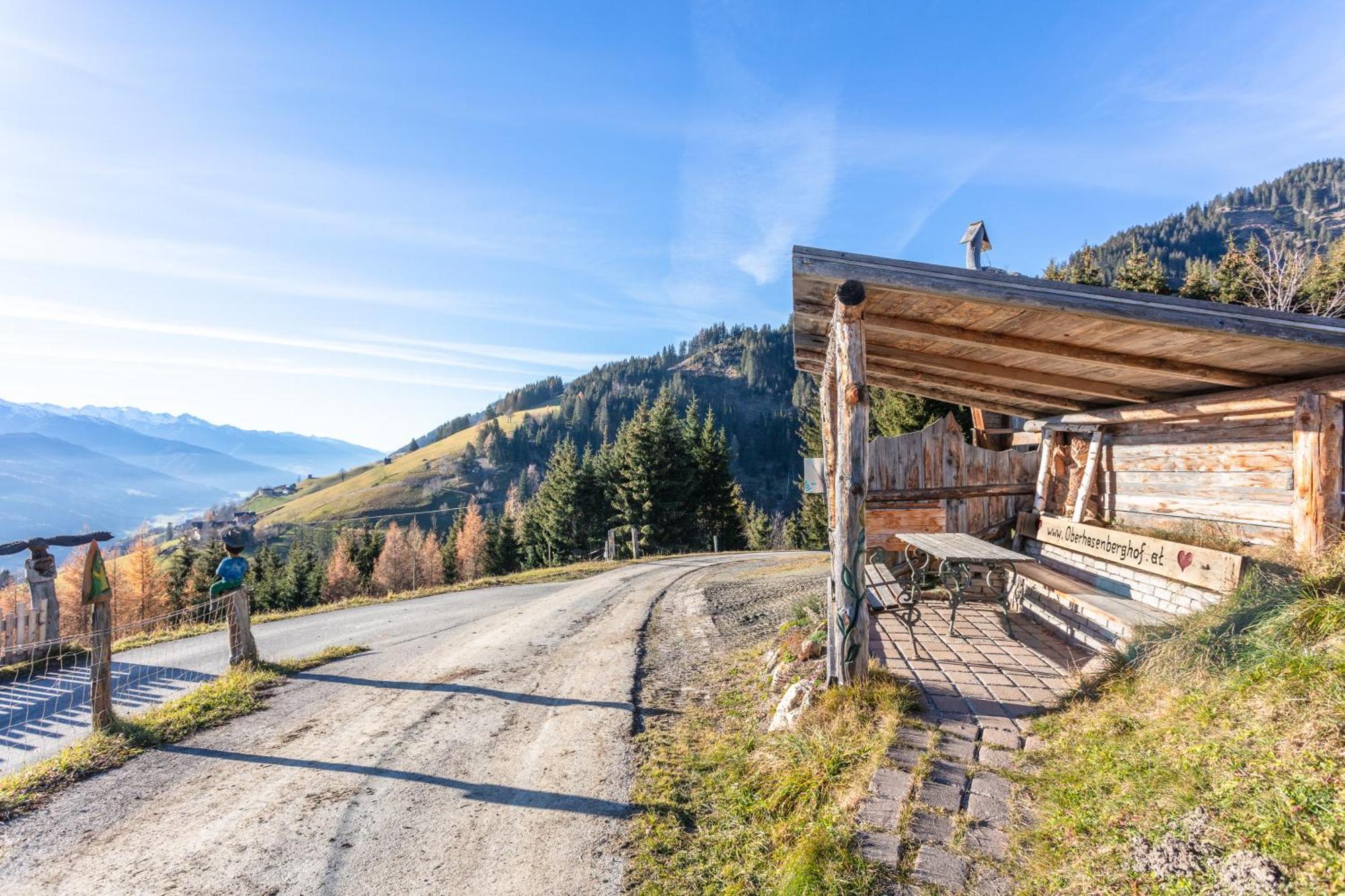 Oberhasenberghof Chalet Taxenbach