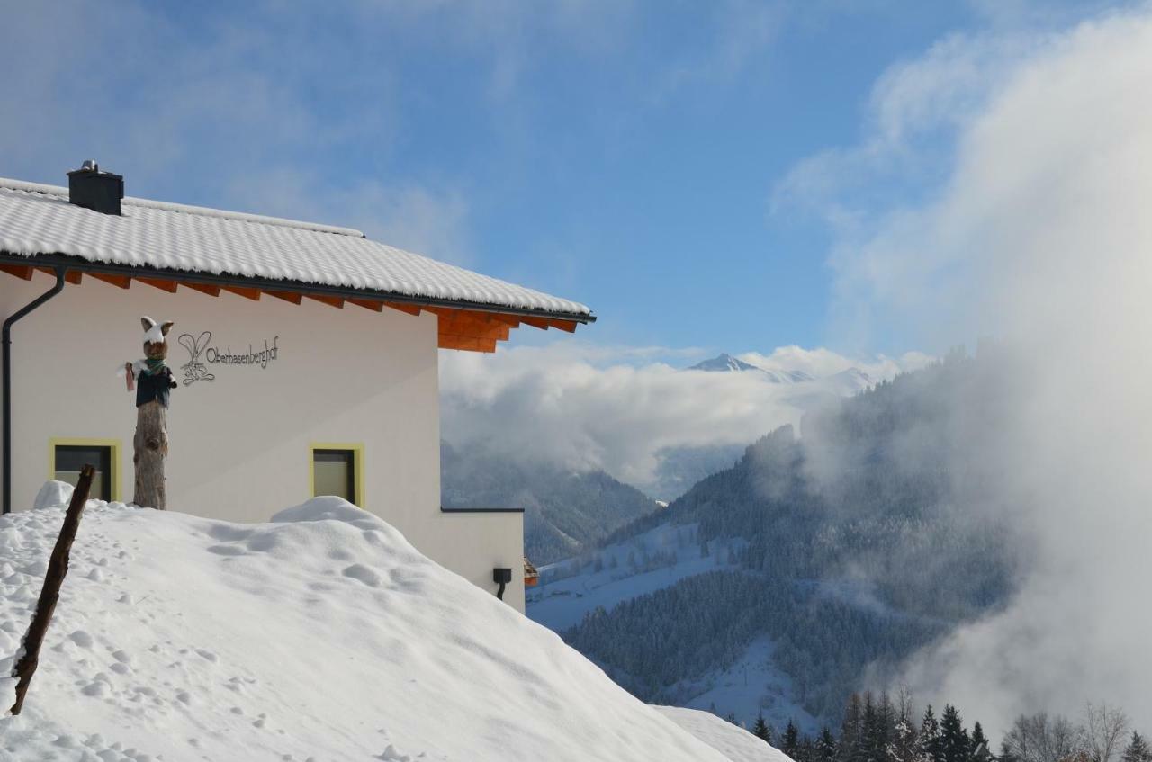 Oberhasenberghof Chalet Taxenbach